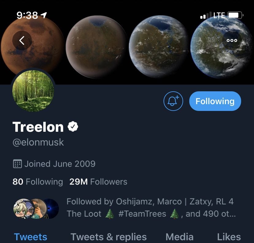 Twitter profile: Treelon @elonmusk